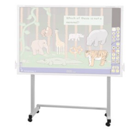 Мобильный стенд ActivStand для ActivBoard 300 серии (утяжелитель в комплекте)