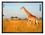 Интерактивная доска ActivBoard Touch 88 (672397)