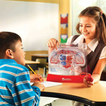 Развивающая игрушка "Cердечно-сосудистая система" Learning Resources LER3535