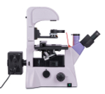 Микроскоп люминесцентный инвертированный цифровой MAGUS Lum VD500