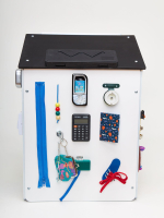 Бизидом «Будущий ученый» Приоритет