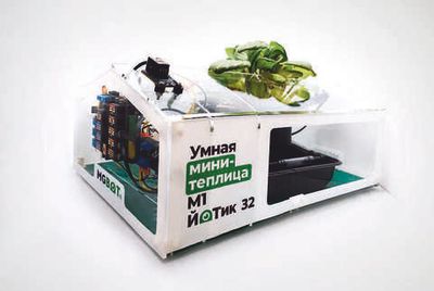 Образовательный набор «Умная мини-теплица» М1 ЙоТик 32