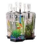 Набор "Экосистема" PASCO