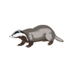 Карточки для знакомства с лексической темой Животные "Зоосад"