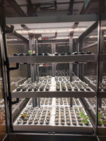 Промышленная ситифма Greenbar PRO-55 ПАК для выращивания зелени