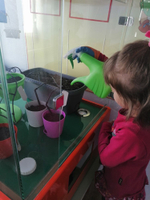 Детская биолаборатория "Умная Теплица" Мироника, Расширенная