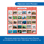 Комплект для группы "Патриотическое воспитание с РобоМышью" Learning Resources MS0084