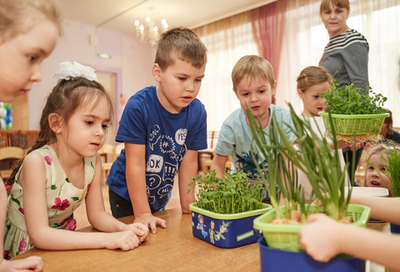 Обучающий комплект экологической направленности 