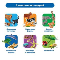 Развивающий набор "Большие игровые фигурки животных" Learning Resources MS0010 (комплект для группы)