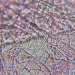 Микроскоп школьный Микромед Эврика SMART 40х-1280х в текстильном кейсе