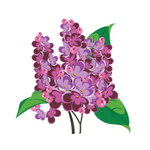 Карточки для знакомства с лексической темой Растения "Ботанический сад"