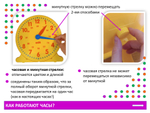 Часы демонстрационные 24-часовой формат (30 см)