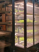 Промышленная ситиферма Greenbar PRO-5 ПАК для коммерческого выращивания зелени