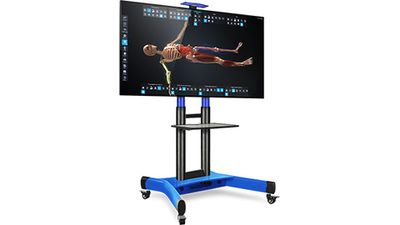 Интерактивный трёхмерный атлас анатомии человека PL-Anatomy