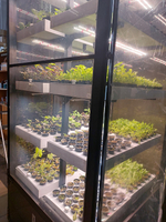 Промышленная ситифма Greenbar PRO-55 ПАК для выращивания зелени