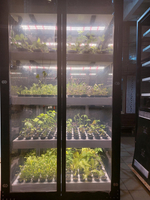 Ситиферма Greenbar- LUX4 ПАК для выращивания зелени и пряных травтрав