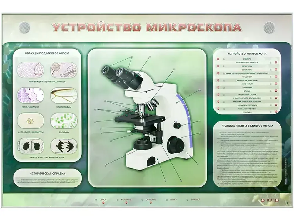 Электрифицированный стенд &quot;Устройство микроскопа и правила работы c ним&quot; Зарница