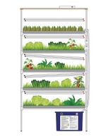 Гидропонные установки серии «Эконом»