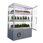 Ситиферма Greenbar- LUX3 ПАК для выращивания зелени и пряных трав