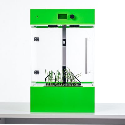 Цифровая биосистема по выращиванию растений 