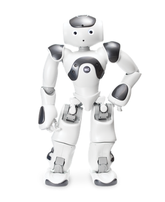 Человекоподобный робот NAO 6