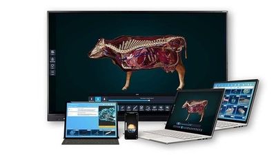 Интерактивное наглядное 3D пособие «Познание: Животные»