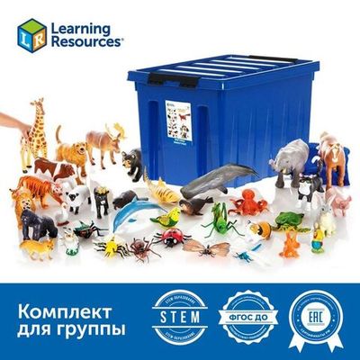 Развивающий набор 