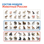 Природные богатства России (без робомыши, с системой хранения) Learning Resources MS0102