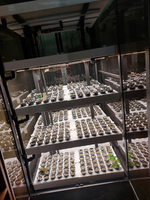 Промышленная ситиферма Greenbar PRO-5 ПАК для коммерческого выращивания зелени