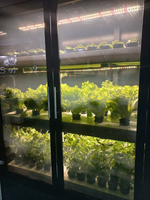 Промышленная ситиферма Greenbar PRO-5 ПАК для коммерческого выращивания зелени