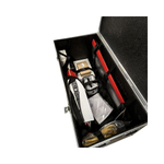 БЛА самолетного типа Phoenix 4 Multi 2