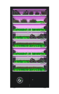 Цифровая ситиферма для выращивания микрозелени Greenbar ПАК MZ_PRO-16