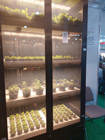 Ситиферма Greenbar LUX-5 ПАК для выращивания зелени, пряных трав