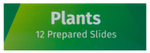 Набор микропрепаратов Levenhuk LabZZ P12, растения