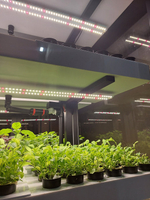 Ситиферма Greenbar- LUX4 ПАК для выращивания зелени и пряных травтрав