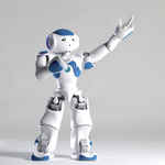 NAO H25 Next Gen