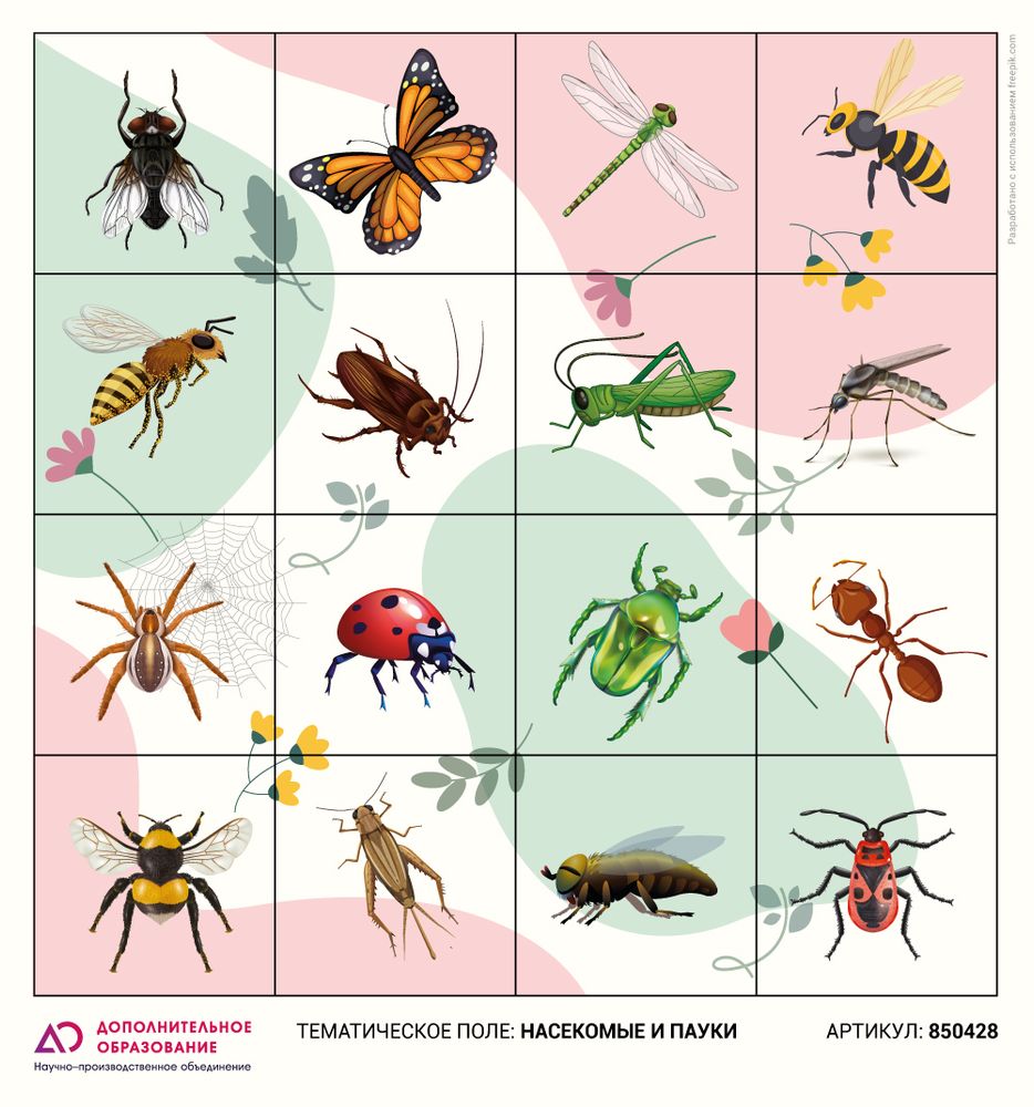 Тематическое поле-маршрутизатор "Насекомые и пауки" для ЛогоРобота "Пчелка" (Bee-Bot) Тематическое поле-маршрутизатор "Насекомые и пауки" для ЛогоРобота "Пчелка" (Bee-Bot)