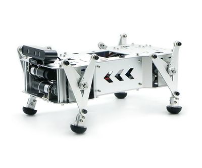 Программируемый робот-собака WHEELTEC BeeDog