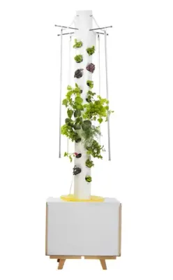 Гидропонная установка «Берёзка»