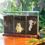 Модуль "Экология. Мусор как удобрение" Learning Resources MS50951