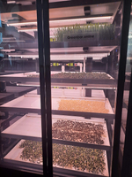 Цифровая ситиферма для выращивания микрозелени Greenbar ПАК MZ_PRO-16