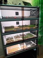 Витрина Greenbar MZ-4 ПАК для выращивания микрозелени
