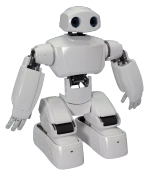 Программируемый человекоподобный робот ADAM, Компактная комплектация