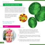 Оптический микроскоп Levenhuk Discovery Centi 02 с книгой