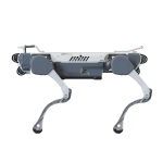 Бионический четырехопорный робот DeepRobotics X30