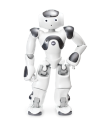 Человекоподобный робот NAO 6