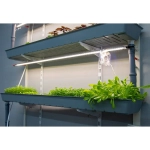 Гидропонная ферма «Настенная» + комплект наборов, приборов, расходных материалов для проведения занятий на 1 учебный год