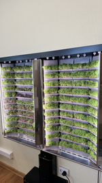 Вертикальная ферма "Моя Микрозелень" настенная премиум