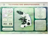 Электрифицированный стенд "Устройство микроскопа и правила работы c ним" Зарница