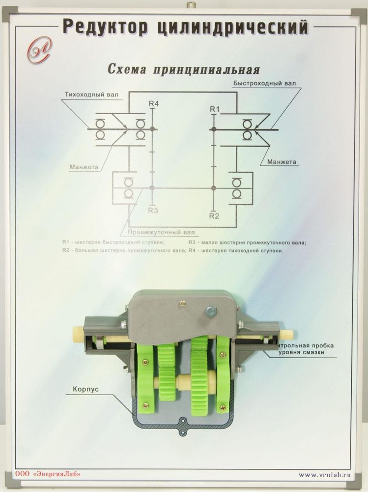 Учебный плакат-планшет «Редуктор цилиндрический»